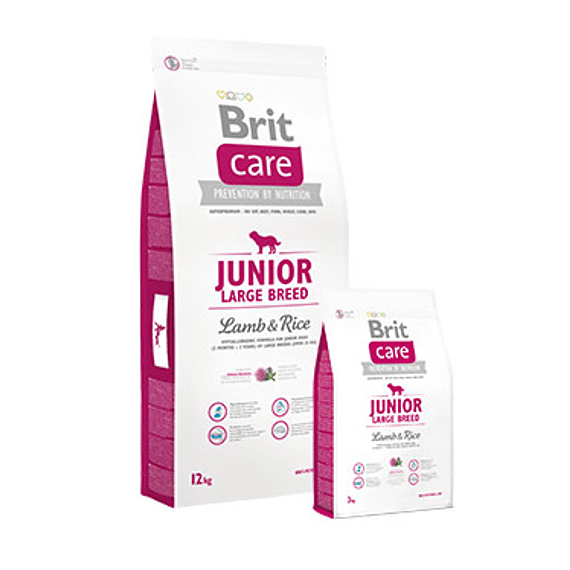 Brit Care Junior Large Cordero&Arroz 12kgs
