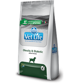 Vetlife Canino Obesity & Diabetic 10kgs