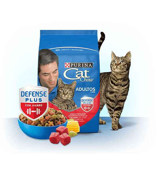 CatChow Adulto Delicias Carne 8kgs