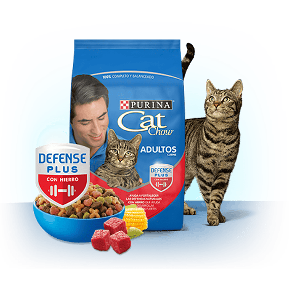 CatChow Adulto Delicias Carne 8kgs