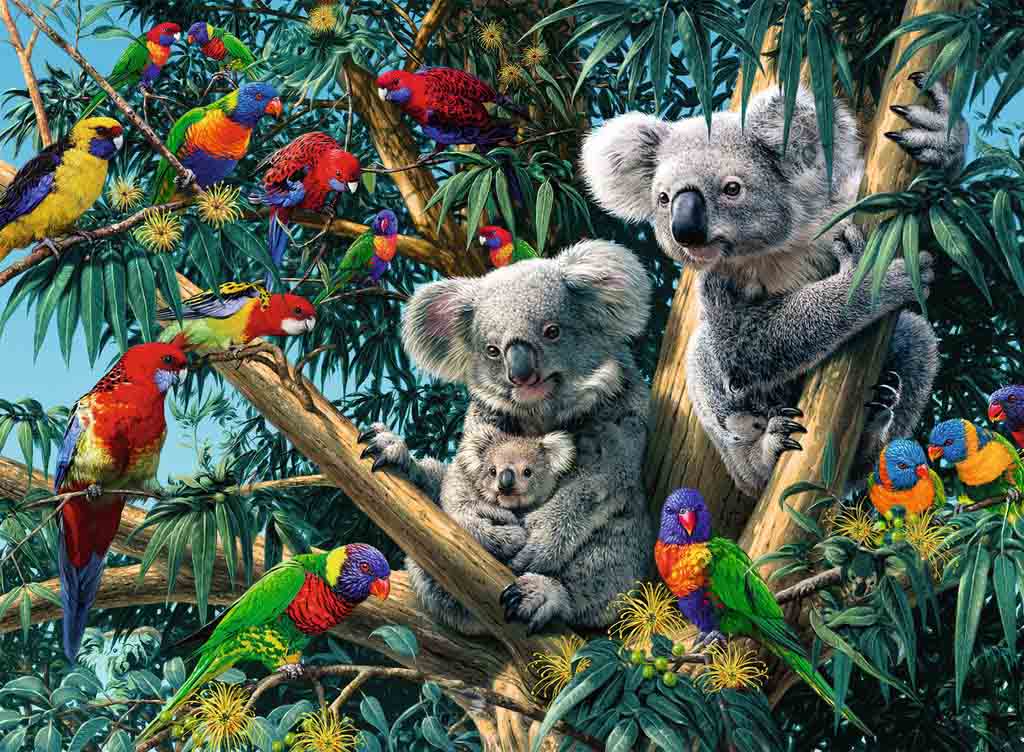 Koalas en el Árbol | Puzzle Ravensburger 500 Piezas