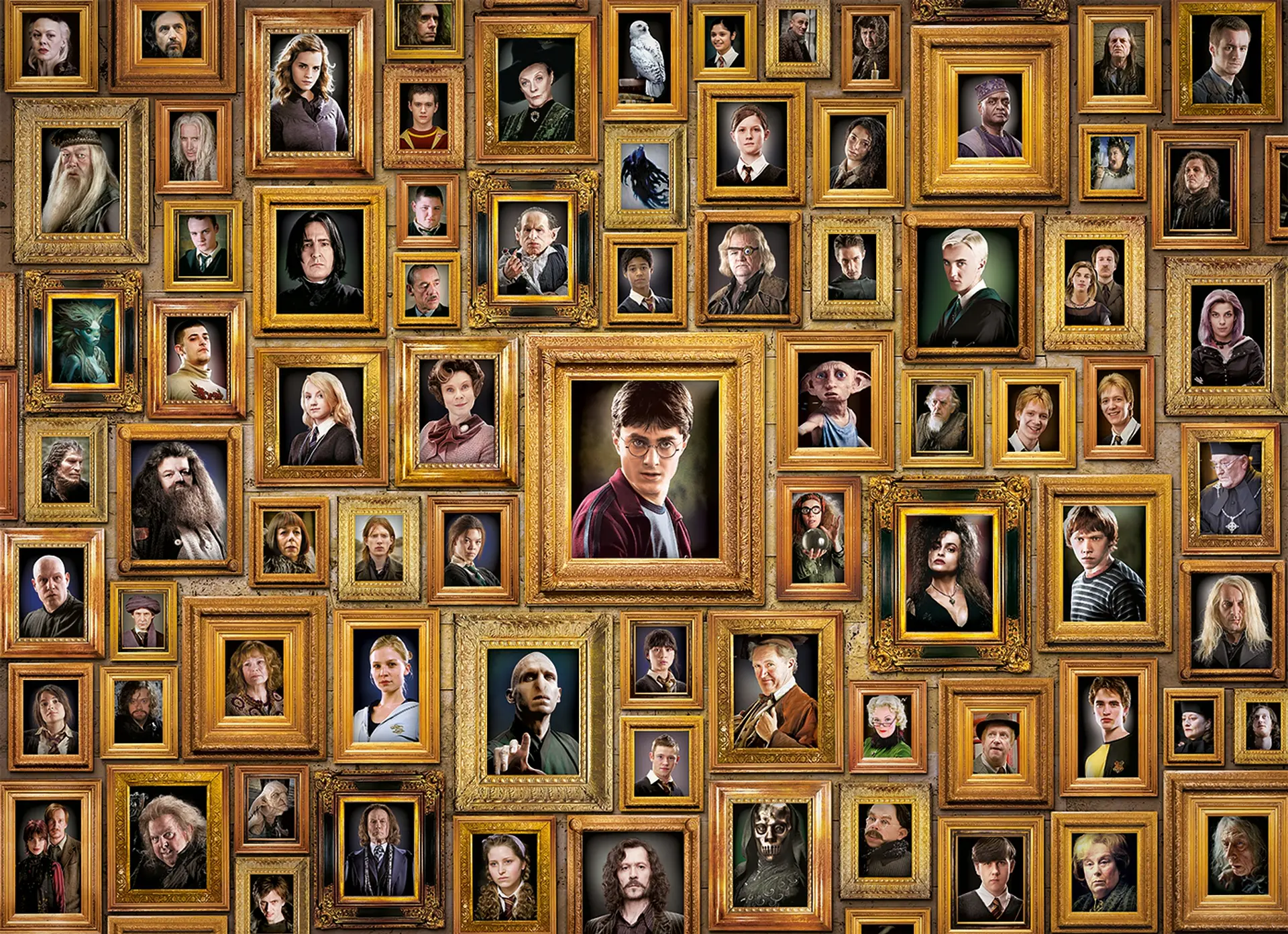 Puzzle 1000 Piezas | Harry Potter Impossible  2