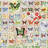 Puzzle 2000 Piezas | Butterflies And Blossoms Cobble Hill