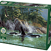 Puzzle 1000 Piezas | Orcas Cobble Hill 