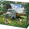 Puzzle 1000 Piezas | Sheep Field Cobble Hill