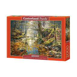 Reminiscencia del bosque otoñal | Puzzle 2000 Piezas Castorland 