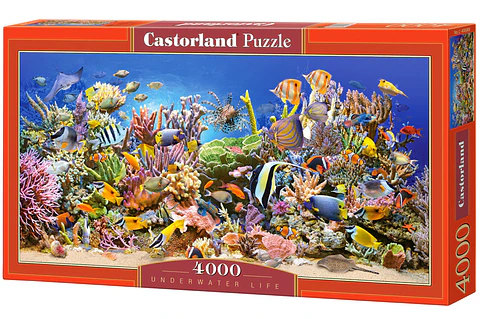 Puzzle 4000 Piezas Castorland | Vida bajo el Agua