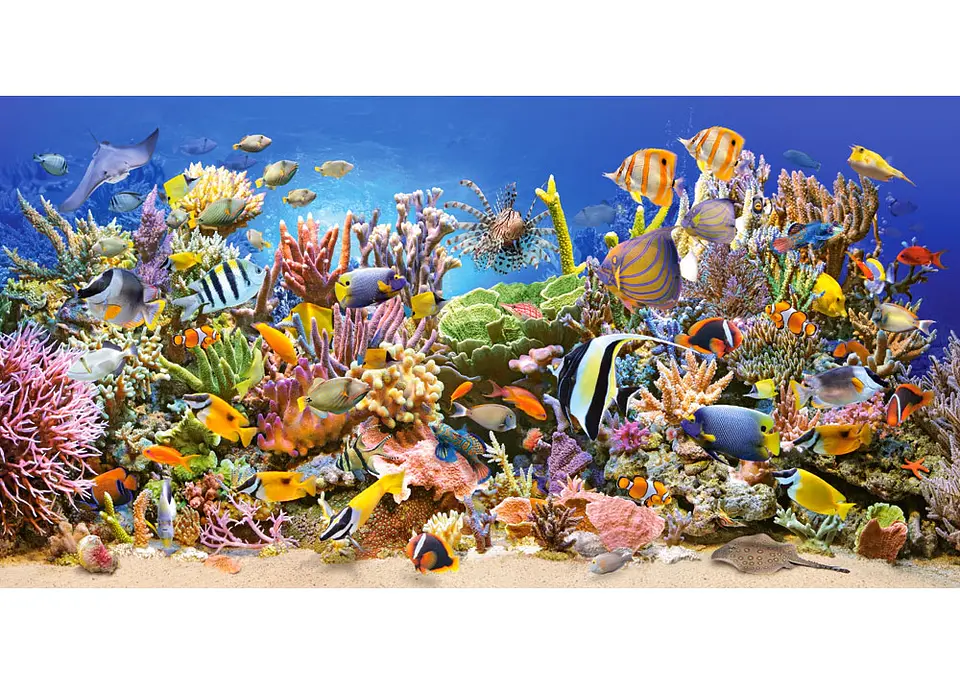Puzzle 4000 Piezas Castorland | Vida bajo el Agua 2