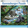 Puzzle 100 Piezas Grandes | Animales de la Selva