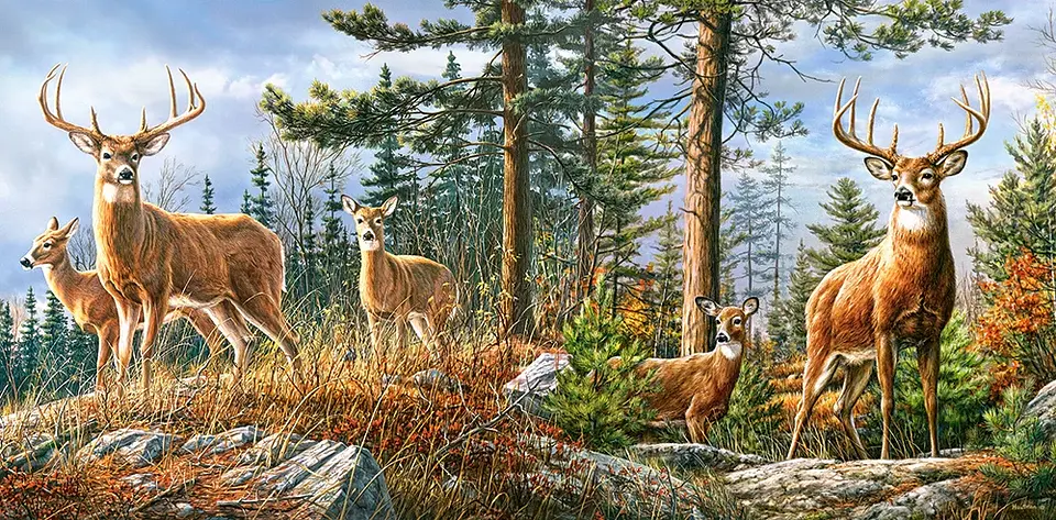 Puzzle 4000 Piezas | Familia Real de Ciervos 2