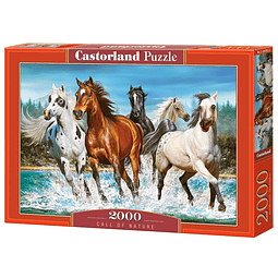 Puzzle 2000 Piezas | Llamada de la Naturaleza Castorland