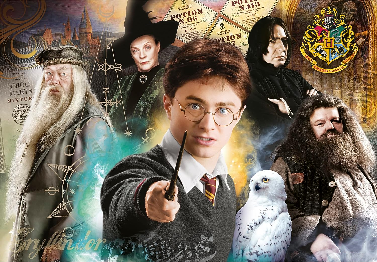 Puzzle 1000 Piezas | Harry Potter, Maestros de Magia Clementoni
