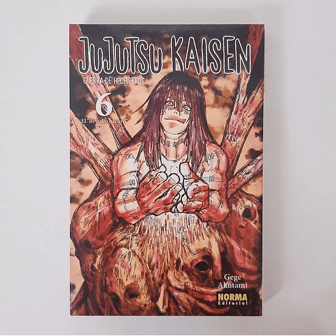 Jujutsu Kaisen #6