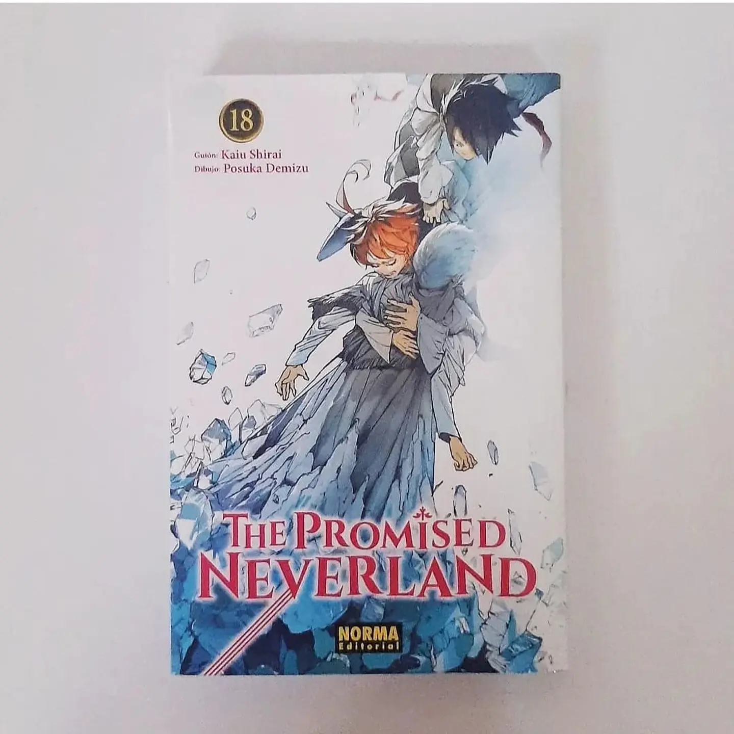 The Promised Neverland #18 1