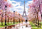Puzzle 1000 Piezas | Paseo Romantico en París - Miniatura 2