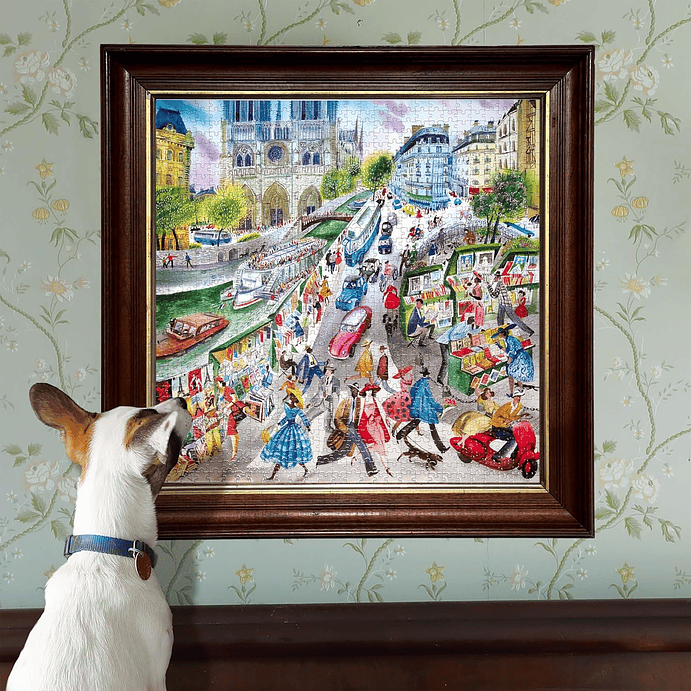 Puzzle 1000 Piezas | Tienda de Libros en París 5