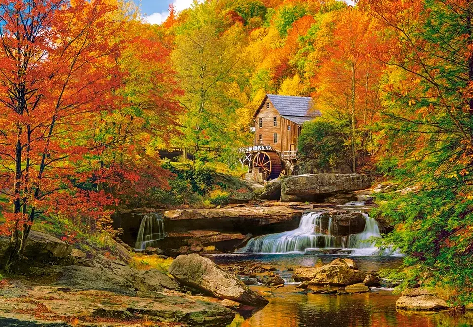 Puzzle 1000 Piezas | Otoño Mágico 2