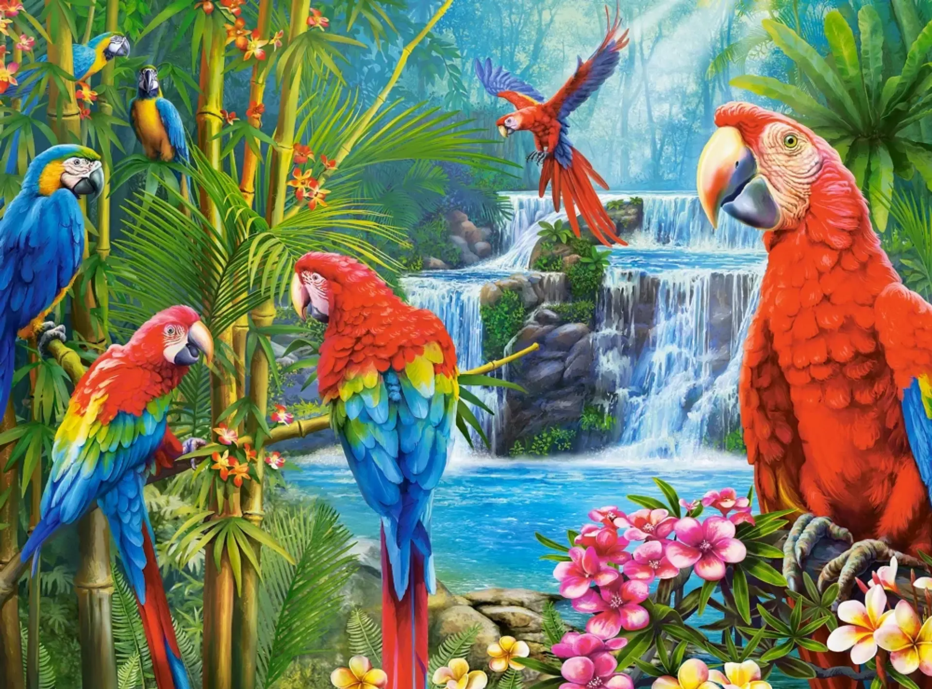 Puzzle 2000 Piezas | Reunión de Loros 2