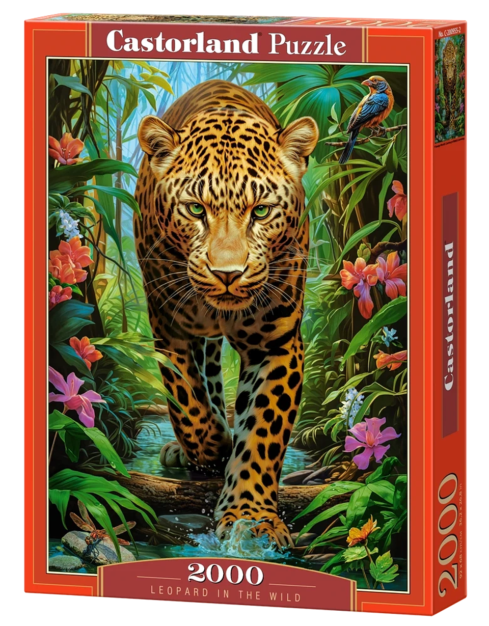 Puzzle 2000 Piezas | Leopardo en la Naturaleza 1