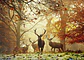 Puzzle 1000 Piezas | Magic Forest Ciervos - Miniatura 2
