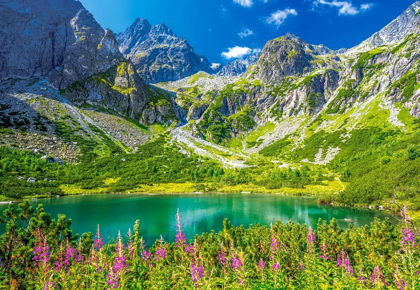 Puzzle 1000 Piezas | Zelene Pleso, Tatras, Eslovaquia 2