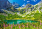 Puzzle 1000 Piezas | Zelene Pleso, Tatras, Eslovaquia - Miniatura 2