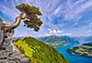 Puzzle 1000 Piezas | Vista al Lago Uri, Suiza - Miniatura 2