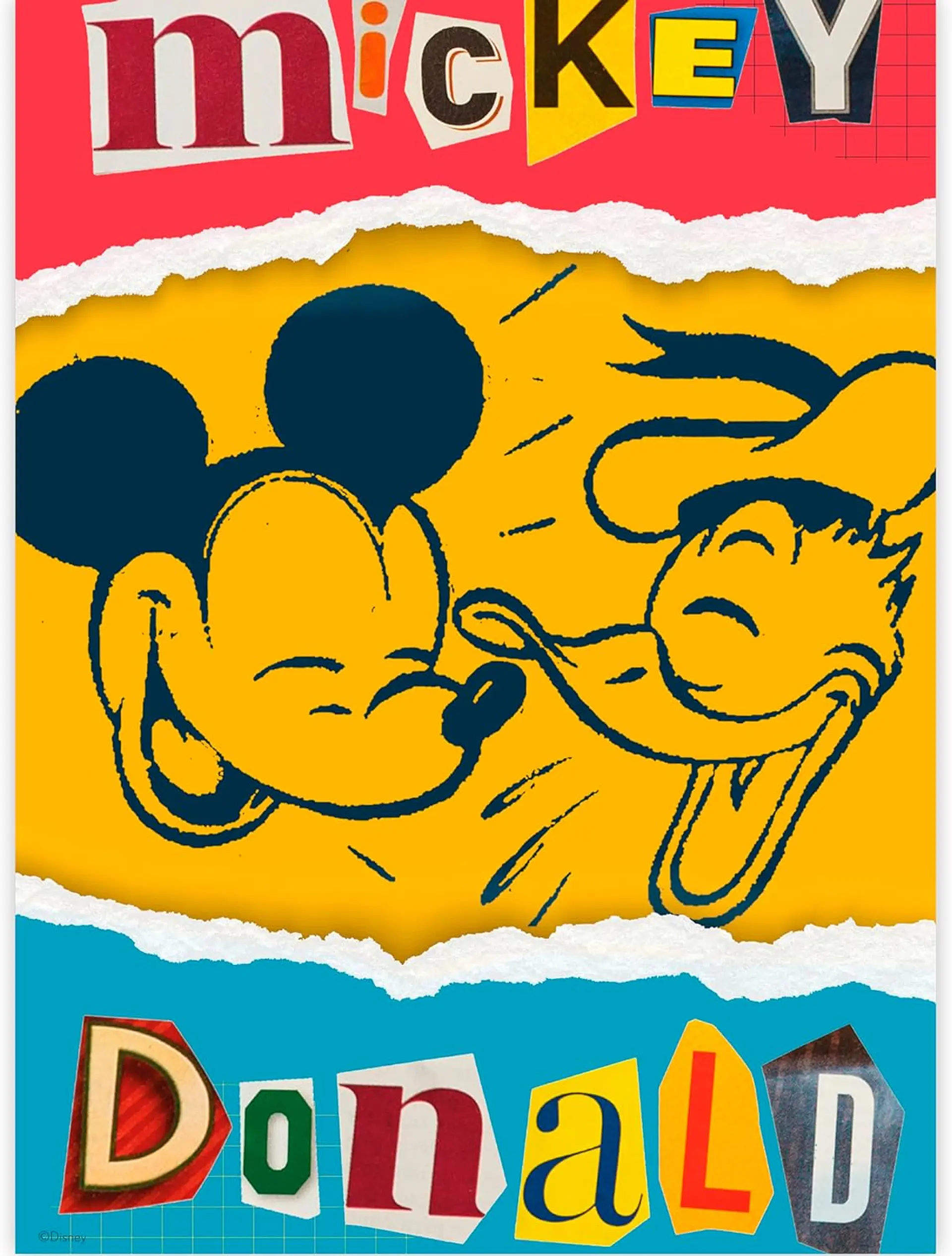 Puzzle (5 en 1) 300, 500, 750 Piezas | Disney Mickey y Donald Multipack 3