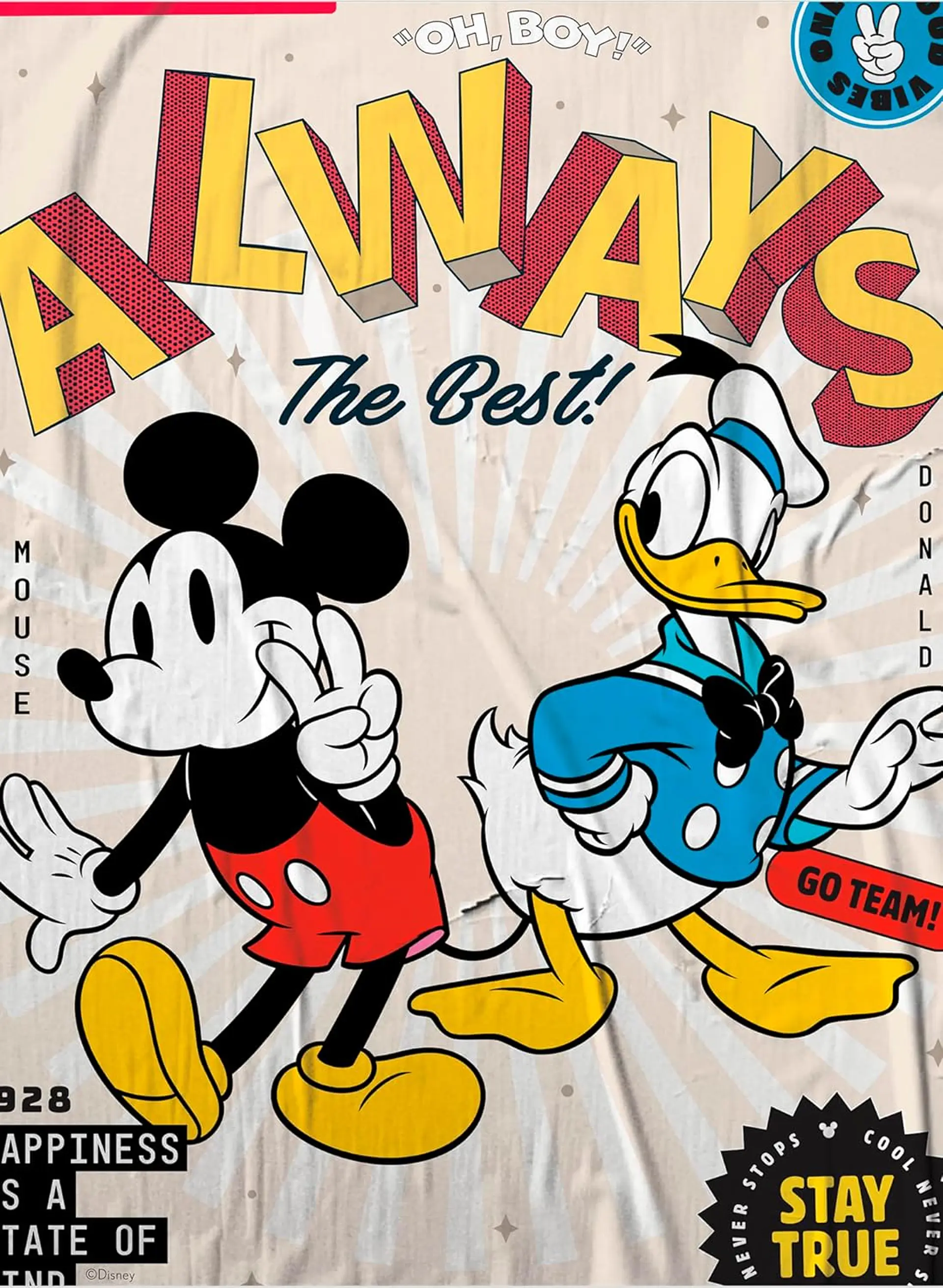Puzzle (5 en 1) 300, 500, 750 Piezas | Disney Mickey y Donald Multipack 4