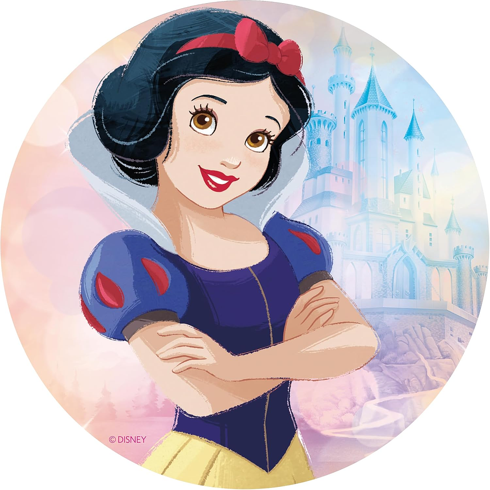 Puzzle (5 en 1) 300, 500, 750 Piezas | Disney Princesas Multipack 5