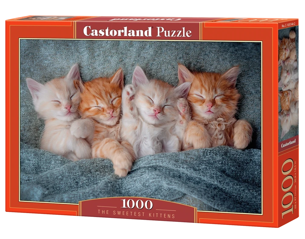 Puzzle 1000 Piezas