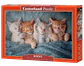 Puzzle 1000 Piezas | Gatitos Tiernos - Miniatura 1