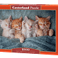 Puzzle 1000 Piezas | Gatitos Tiernos - Miniatura 1