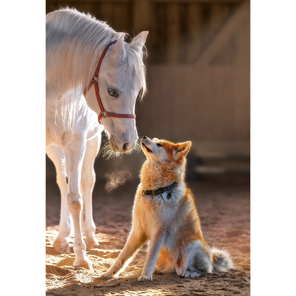 Puzzle 1000 Piezas | Amistad Única 2