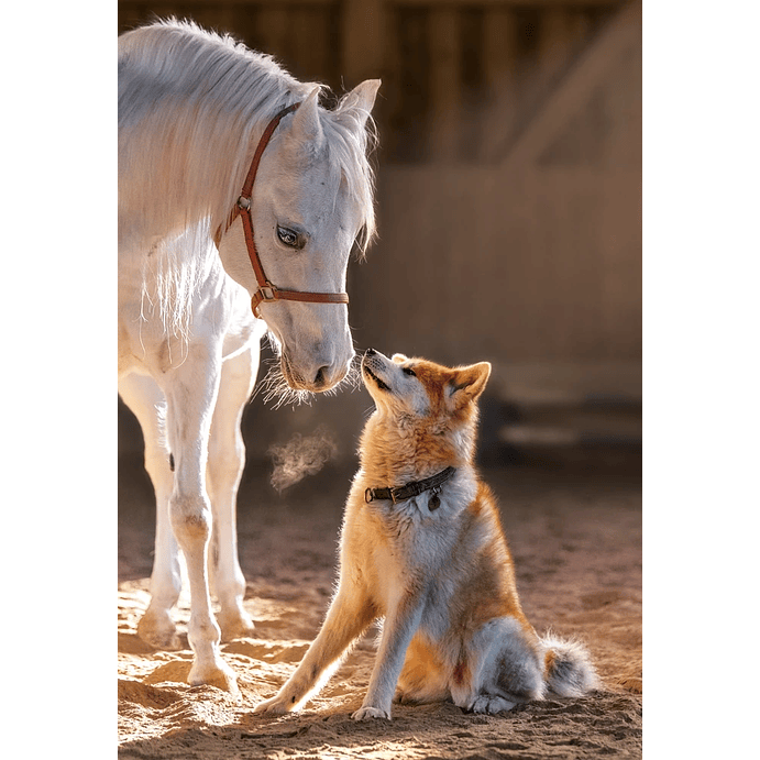 Puzzle 1000 Piezas | Amistad Única 2