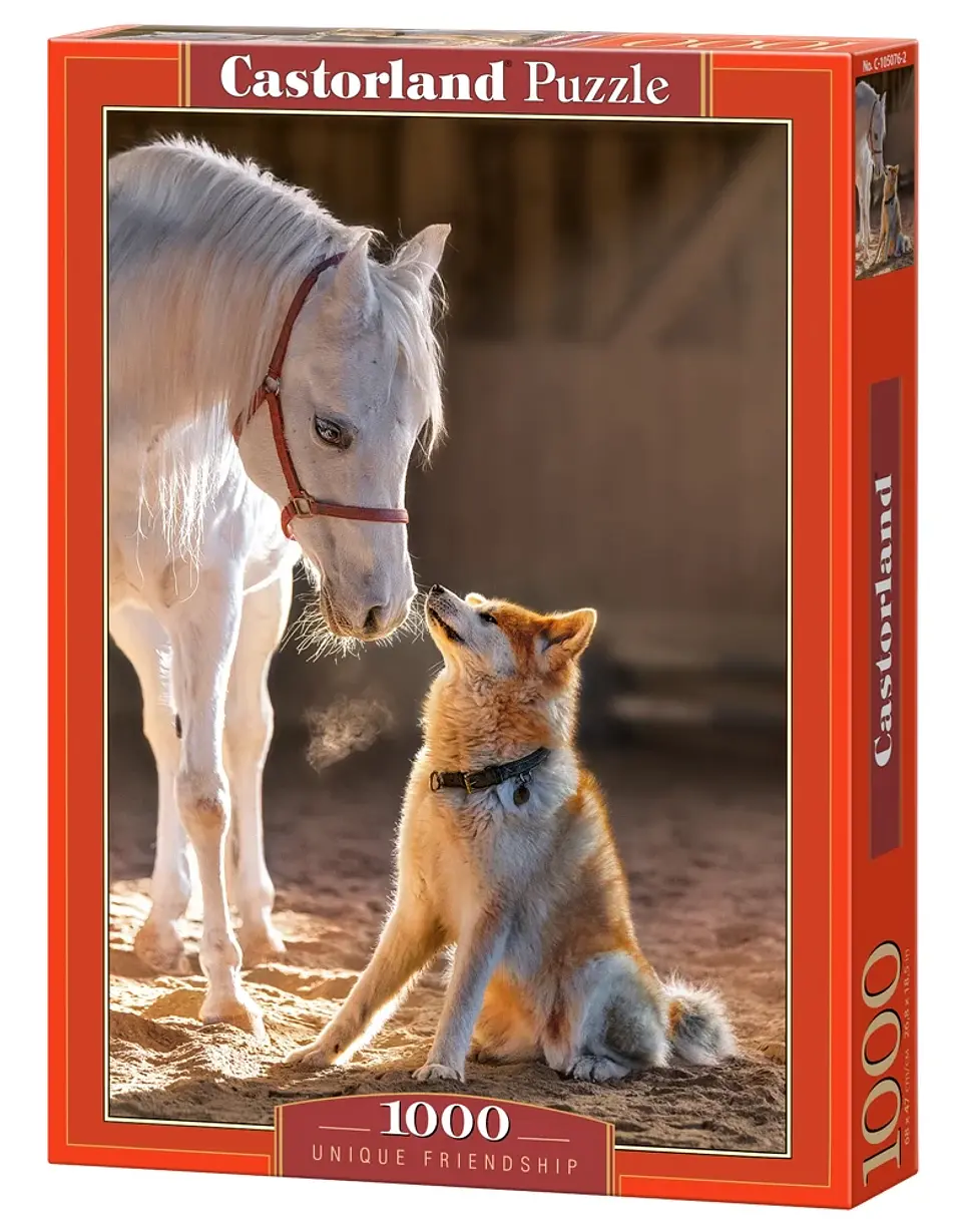 Puzzle 1000 Piezas | Amistad Única 1