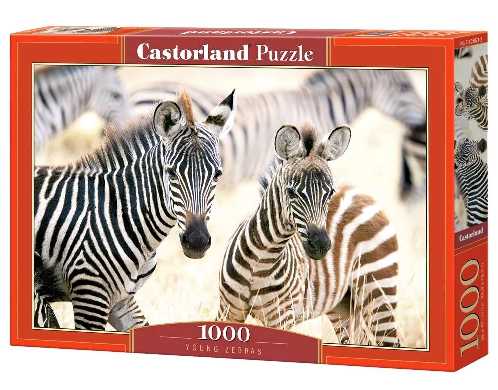 Puzzle 1000 Piezas
