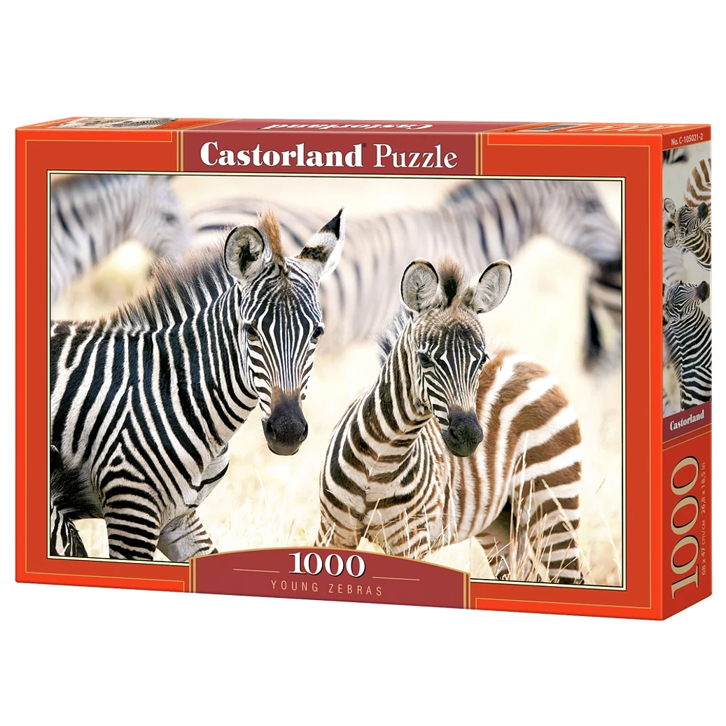 Puzzle 1000 Piezas | Cebras Pequeñas 1