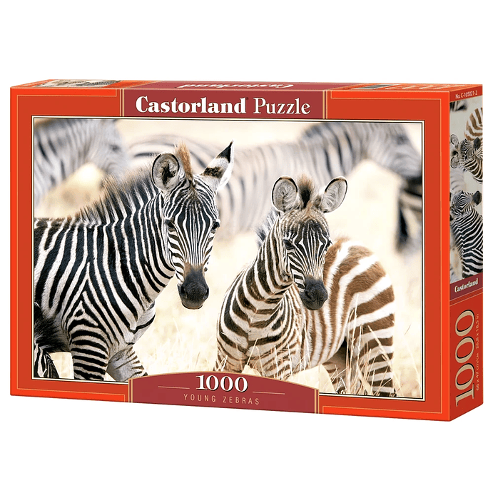Puzzle 1000 Piezas | Cebras Pequeñas 1