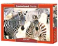 Puzzle 1000 Piezas | Cebras Pequeñas - Miniatura 1