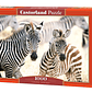 Puzzle 1000 Piezas | Cebras Pequeñas - Miniatura 1