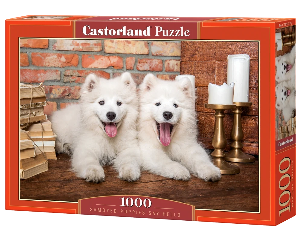 Puzzle 1000 Piezas