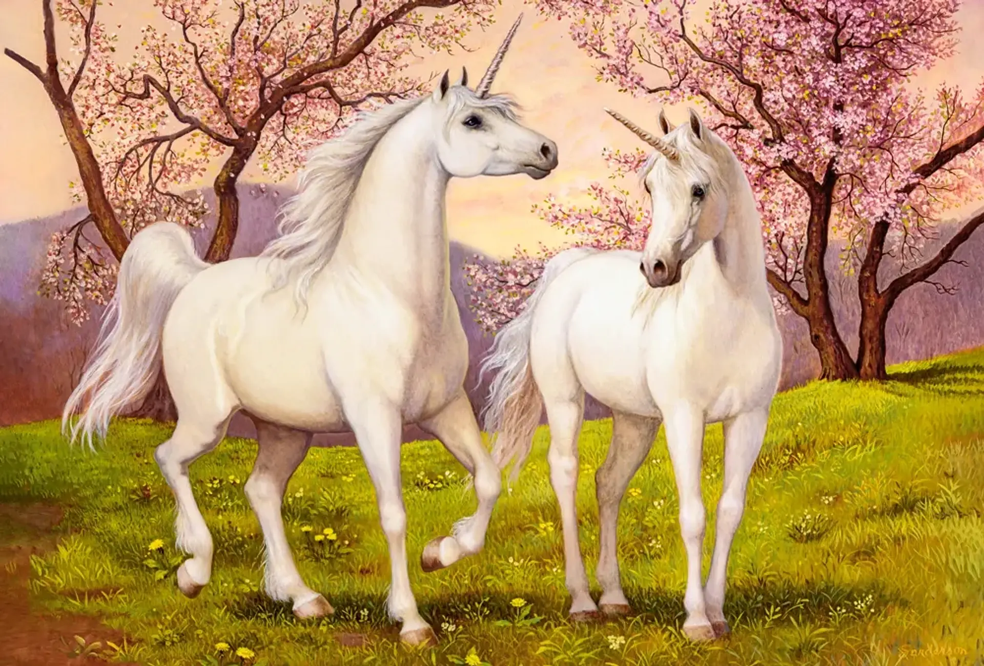 Puzzle 1000 Piezas | Amor de Unicornios 2