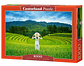 Puzzle 1000 Piezas | Campos de Arroz en Vietnam - Miniatura 1