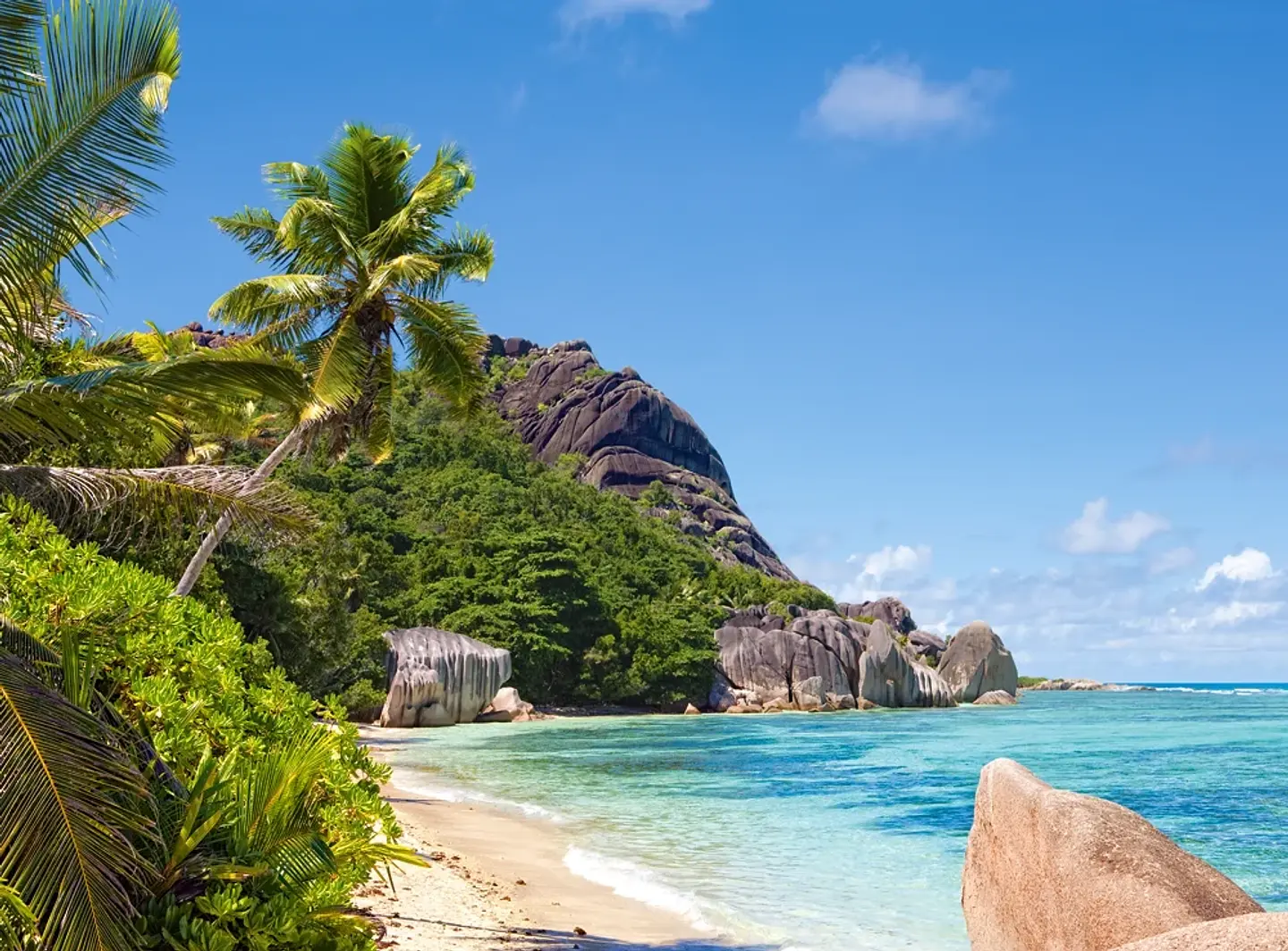 Puzzle 3000 Piezas | Playa Tropical, Seychelles 2
