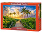 Puzzle 3000 Piezas | Amanecer Colorido en Miami, EE. UU. - Miniatura 1