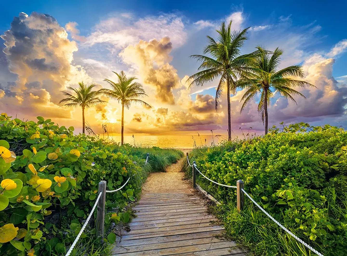 Puzzle 3000 Piezas | Amanecer Colorido en Miami, EE. UU. 3