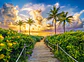 Puzzle 3000 Piezas | Amanecer Colorido en Miami, EE. UU. - Miniatura 3