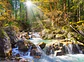 Puzzle 2000 Piezas | Arroyo del Bosque - Miniatura 2