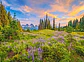 Puzzle 2000 Piezas | Flores de la Mañana - Miniatura 2